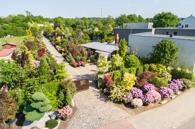 Drzewa i krzewy formowane